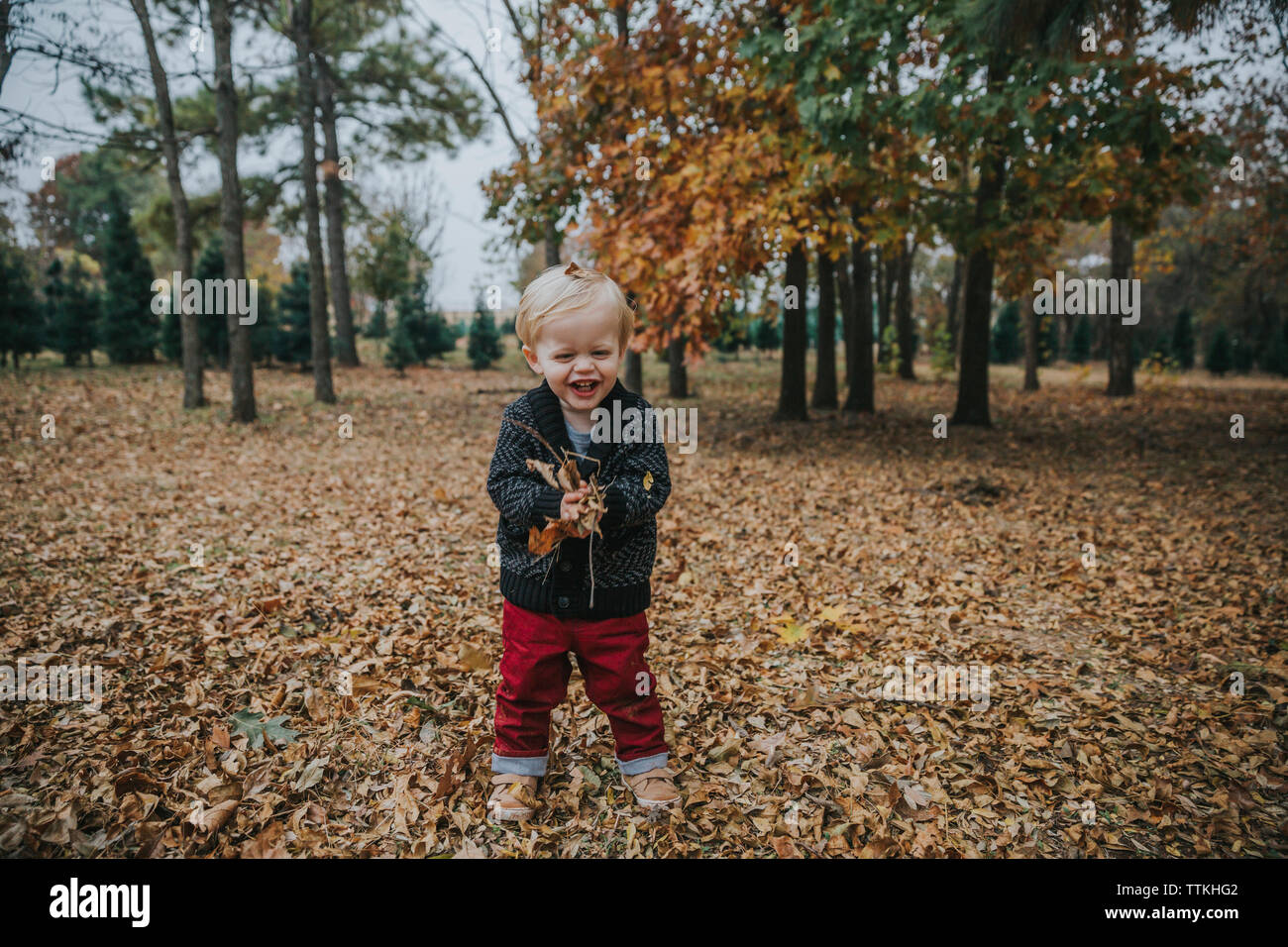 Portrait of happy baby boy à jouer avec les feuilles d'automne alors que l'article de park Banque D'Images