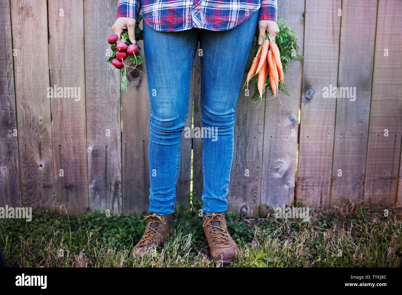 La section basse de la productrice holding vegetables debout contre la clôture à ferme biologique Banque D'Images