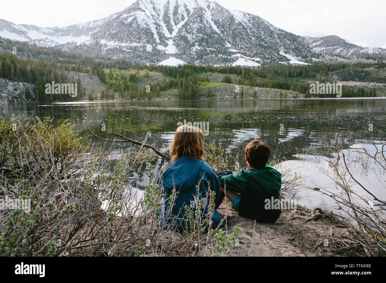 Vue arrière de la fratrie à la vue alors qu'il était assis au bord du lac à la forêt nationale d'Inyo Banque D'Images
