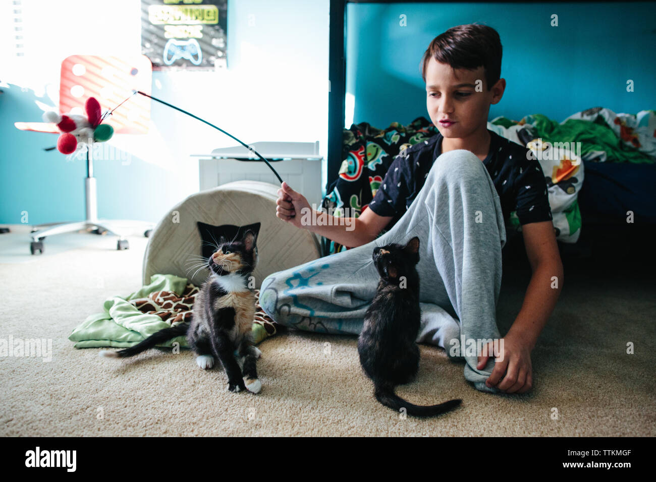Garçon joue avec deux chatons dans sa chambre à coucher Banque D'Images