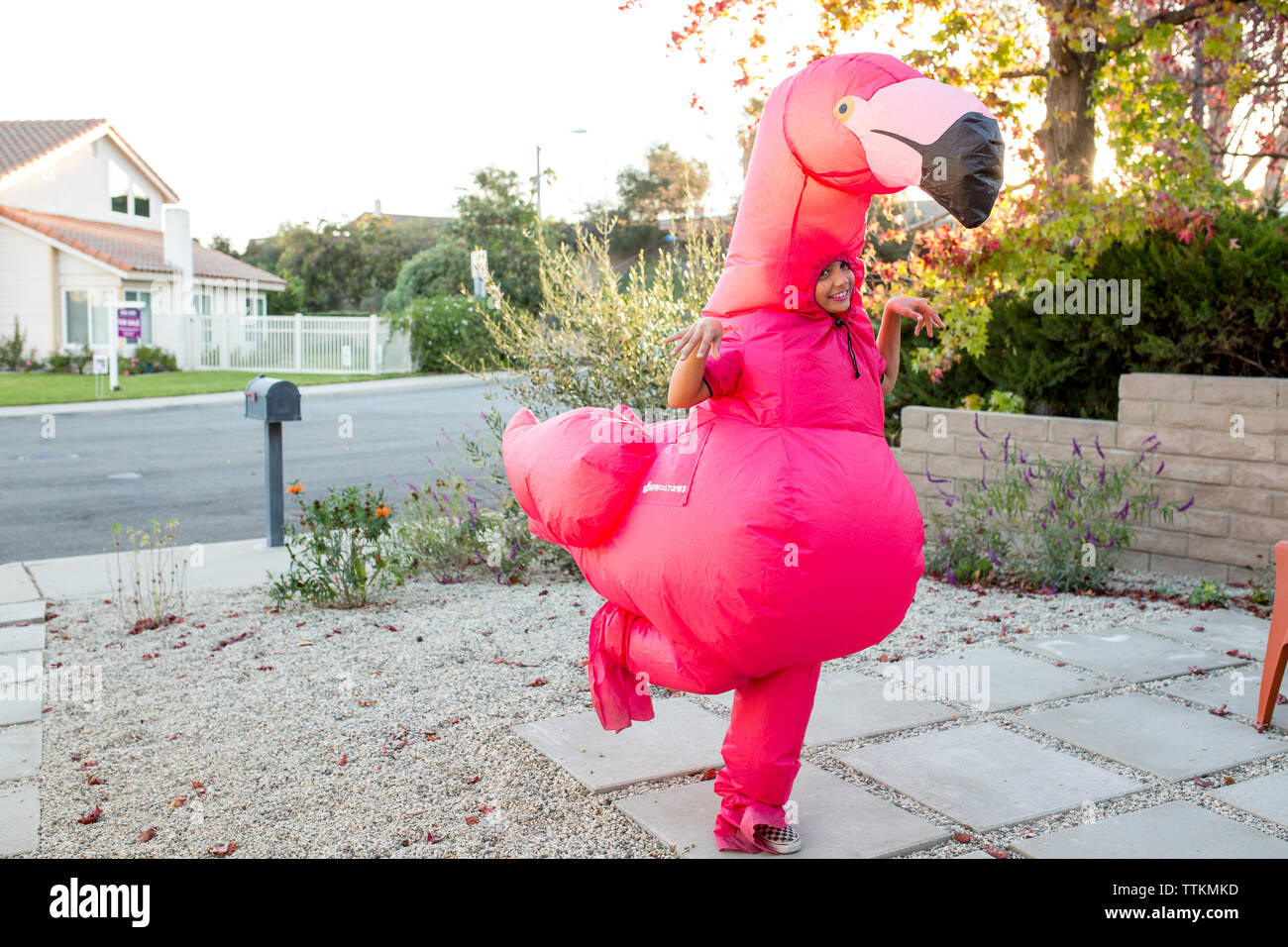 Costume de flamant rose Banque de photographies et d'images à haute  résolution - Alamy