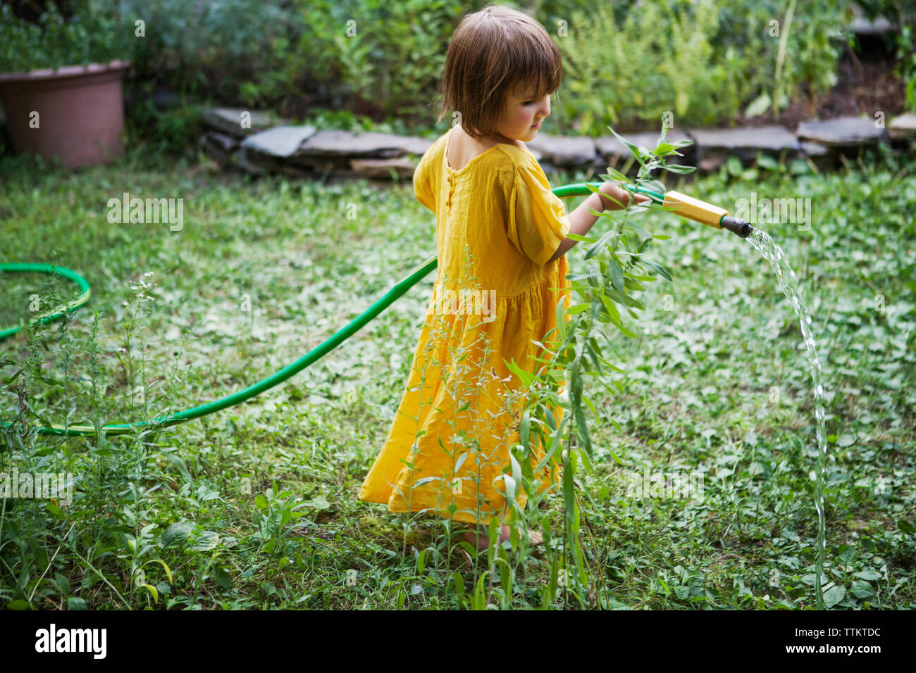 Girl watering plants avec flexible in backyard Banque D'Images