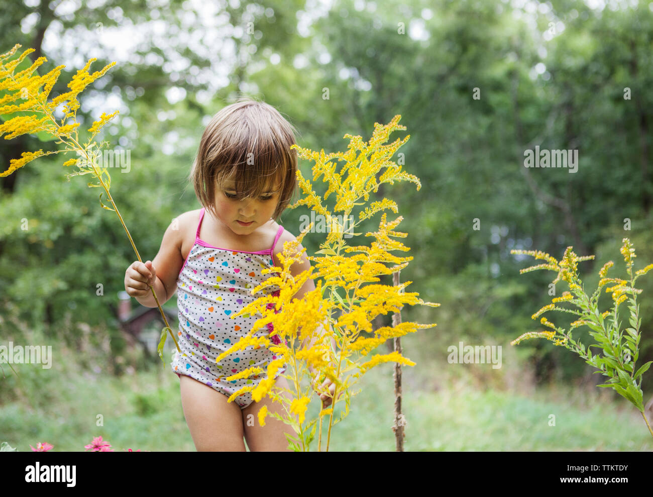 Curieux girl picking plants in forest Banque D'Images