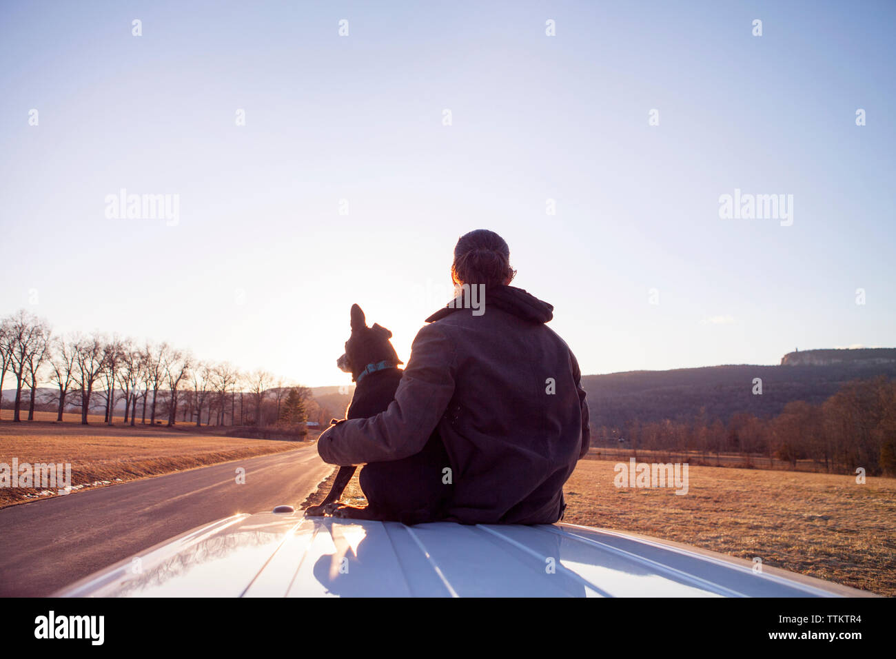 Chien assis sur le toit de la voiture Banque de photographies et d ...