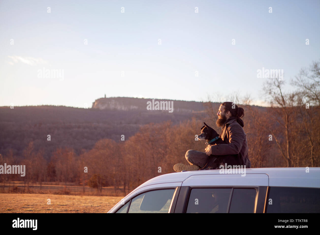 Chien assis sur le toit de la voiture Banque de photographies et d ...