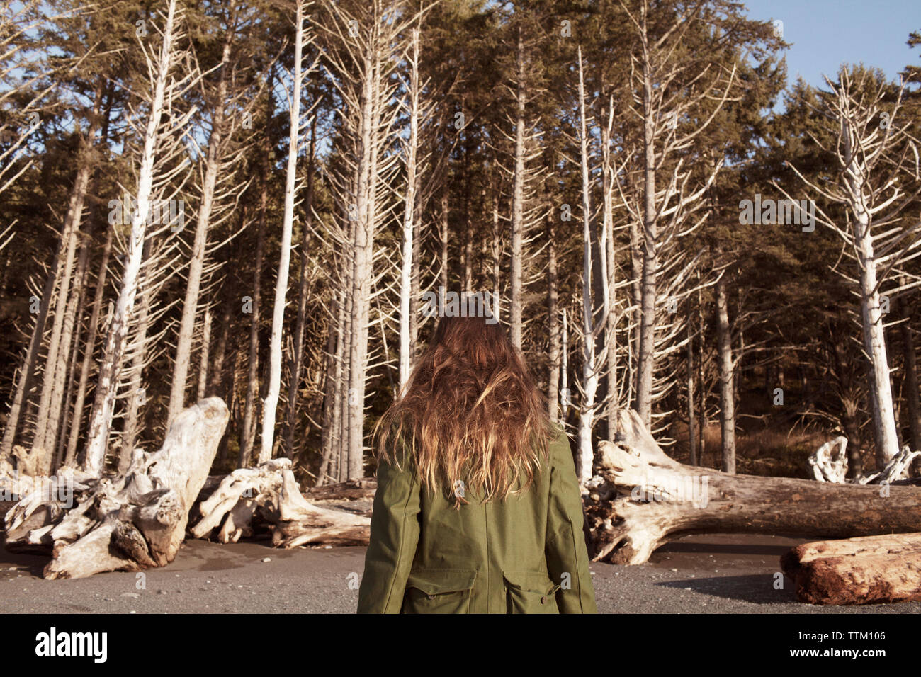 Vue arrière du femme marche contre des arbres sur la plage Banque D'Images