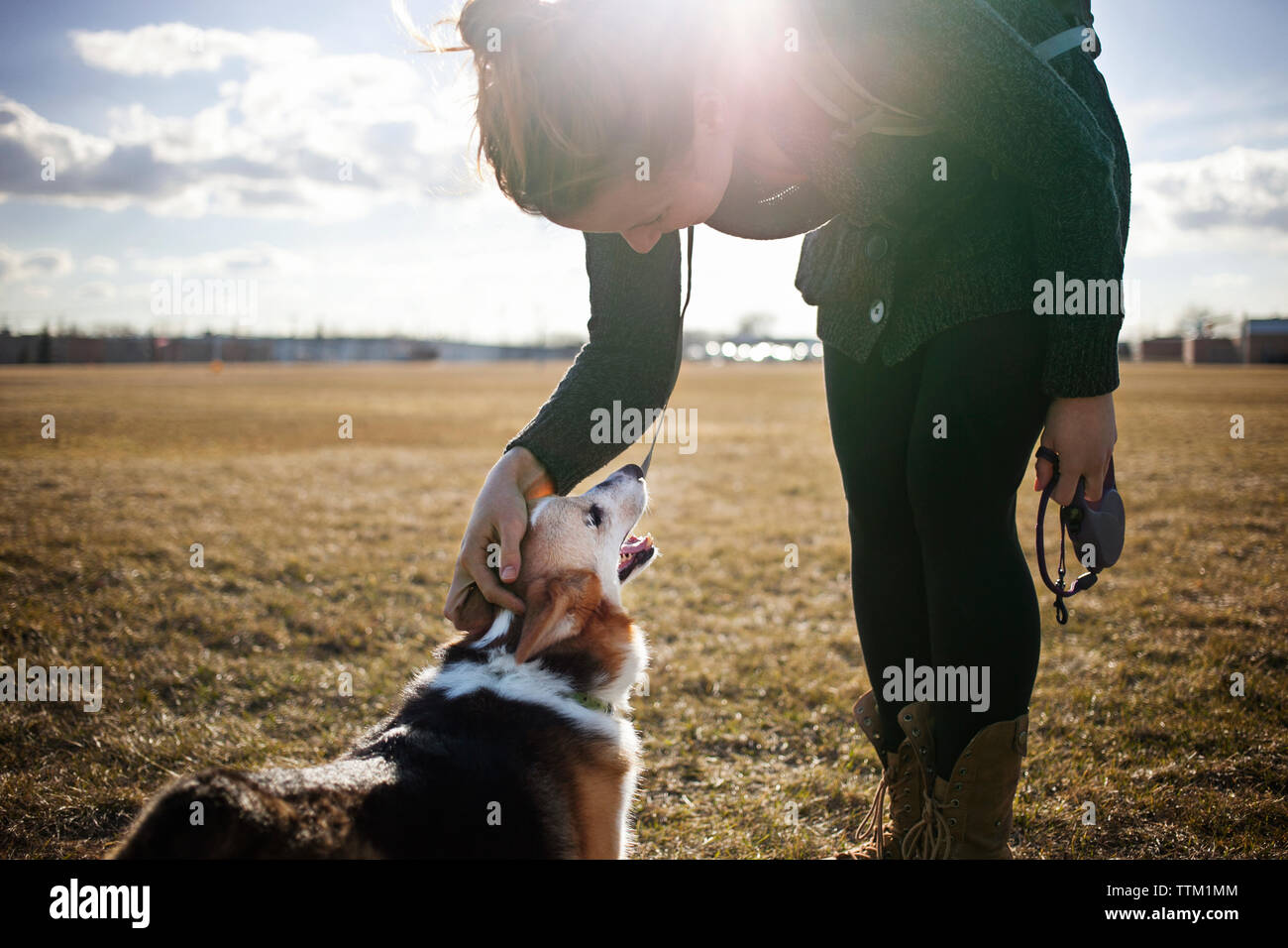 Woman Playing with dog sur terrain contre ciel sur sunny day Banque D'Images