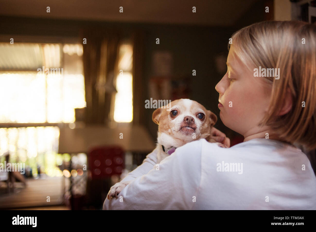 Fille transportant Chihuahua debout à la maison Banque D'Images