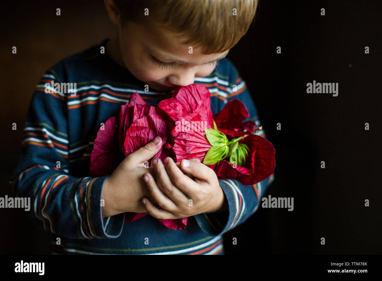 Close-up of boy holding red flower tout en se tenant à la maison Banque D'Images