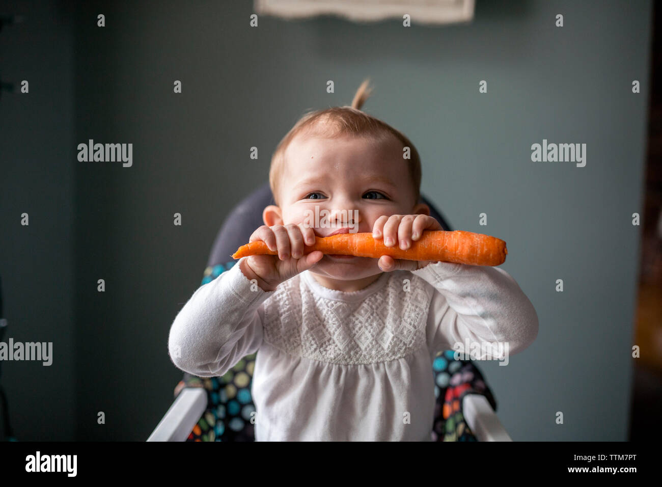 Cute baby girl biting carotte tout en étant assis sur la chaise haute à la maison Banque D'Images