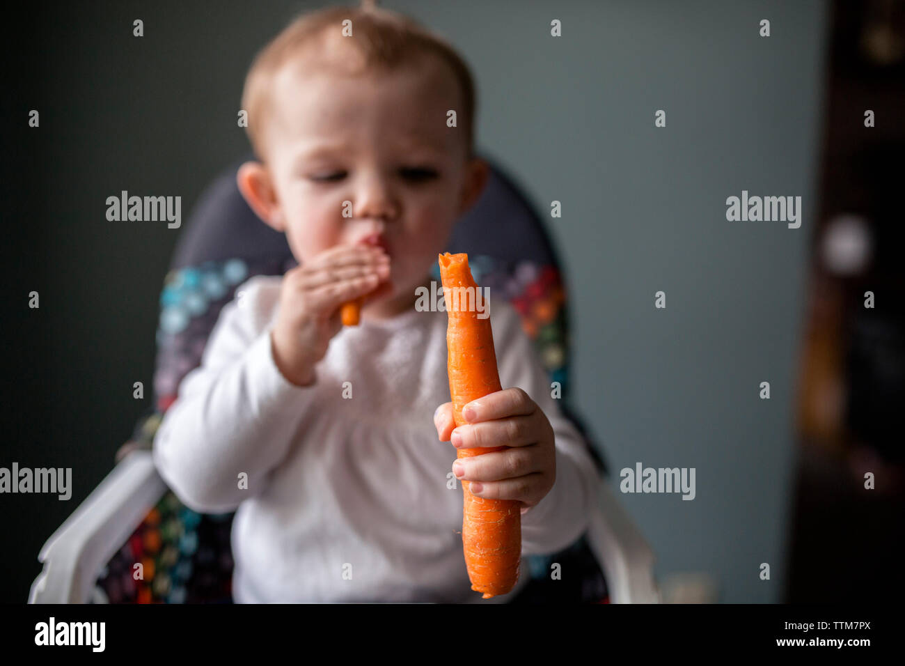 Cute baby girl eating carrot, assis sur une chaise haute à la maison Banque D'Images