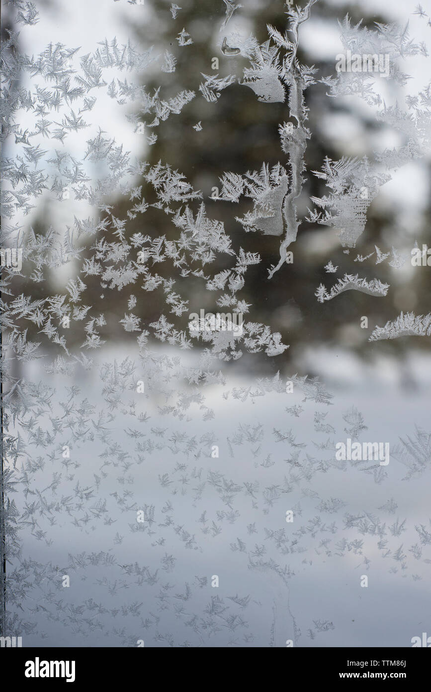 Close-up de fenêtre congelé Banque D'Images