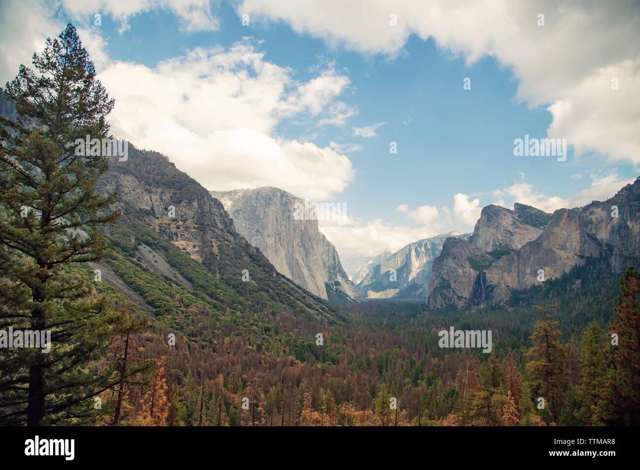 La vallée de Yosemite en Californie Paysage USA. Vue de tunnel sur une belle journée, claire Banque D'Images