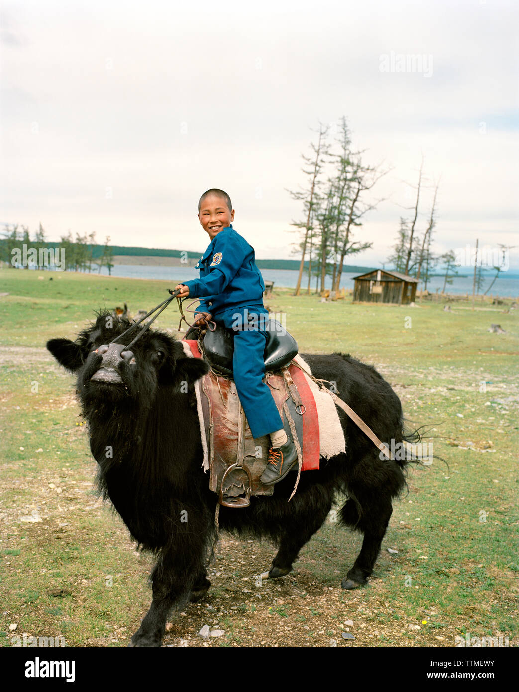 La Mongolie, Batkhuu's home près du lac Khuvsgul, Portrait of a smiling boy riding a yak, Parc National de Khuvsgul Banque D'Images