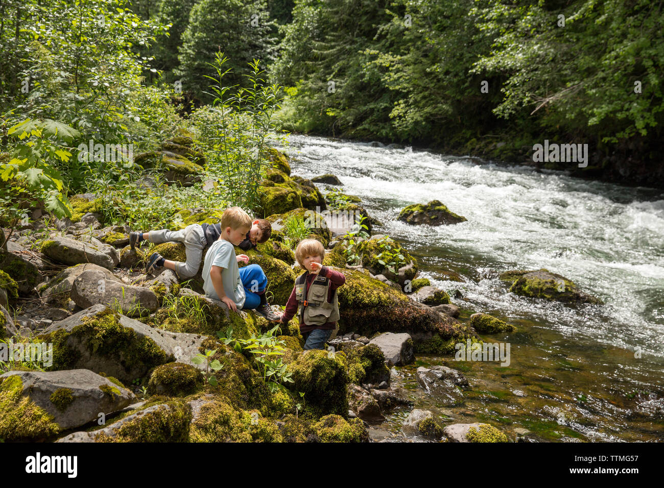 USA, Ohio, Santiam River, Brown Cannon, de jeunes garçons jouant dans la forêt nationale de Willamete près de la rivière Santiam Banque D'Images