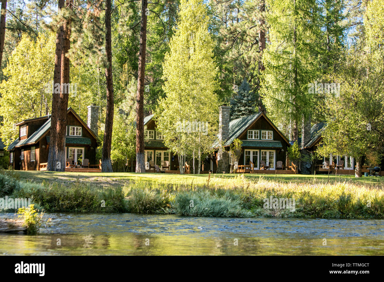 USA (Oregon), Camp Sherman, Metolius River Resort, vue sur la rivière Banque D'Images