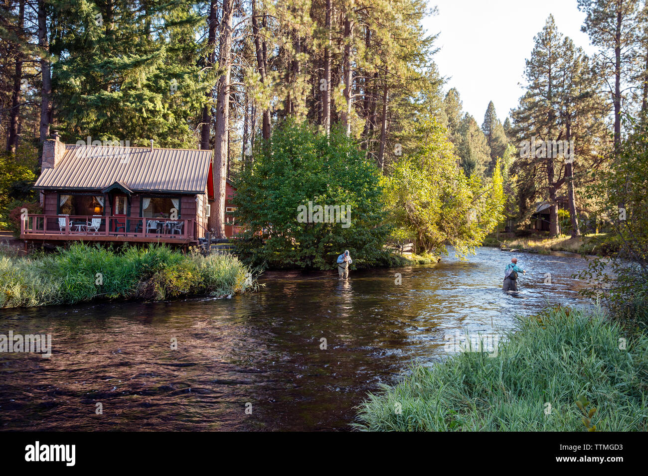 USA (Oregon), Camp Sherman, Metolius River Resort, Flyfishermen sur l'Metolius à loin de resort Banque D'Images