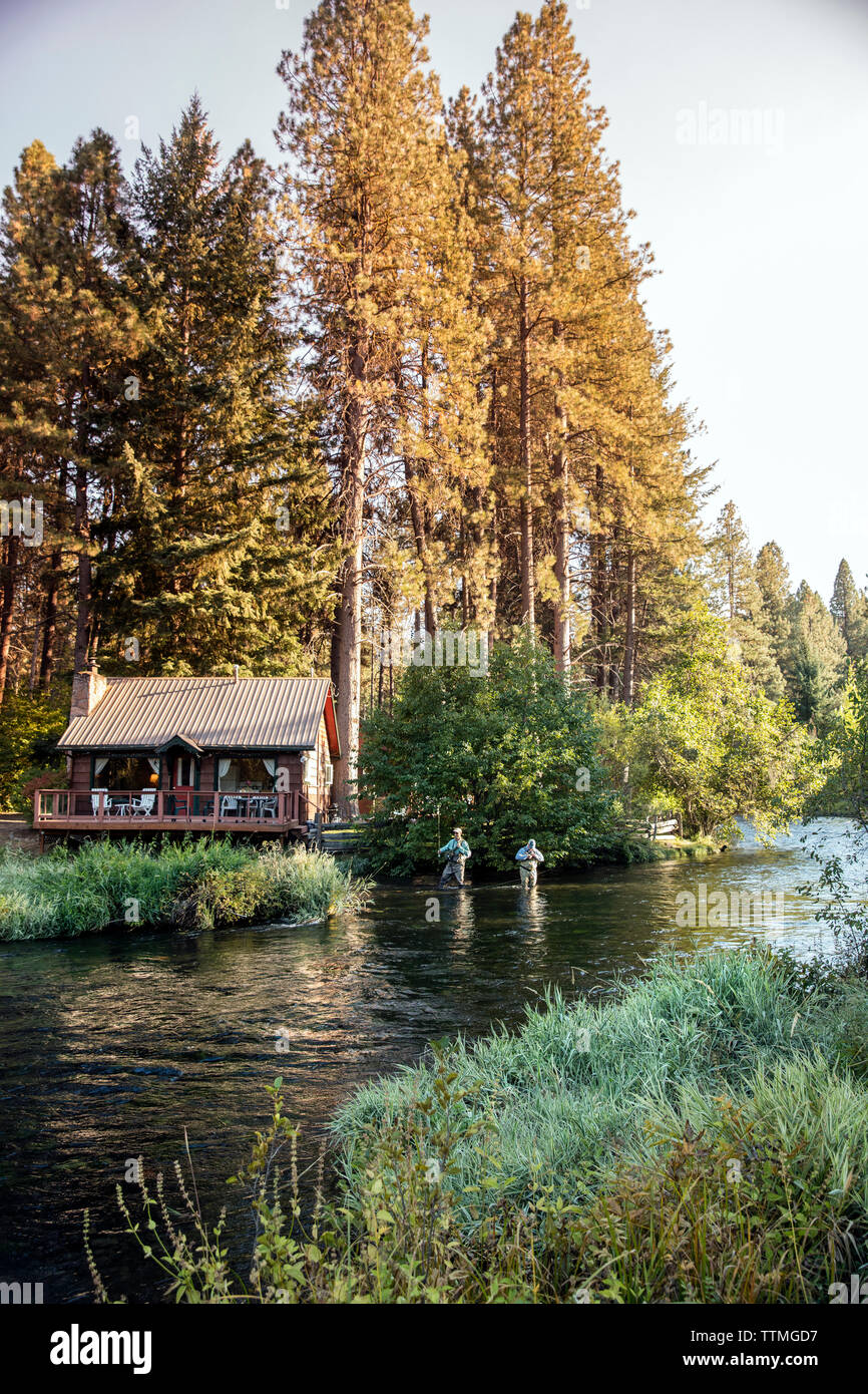 USA (Oregon), Camp Sherman, Metolius River Resort, Flyfishermen sur l'Metolius à loin de resort Banque D'Images