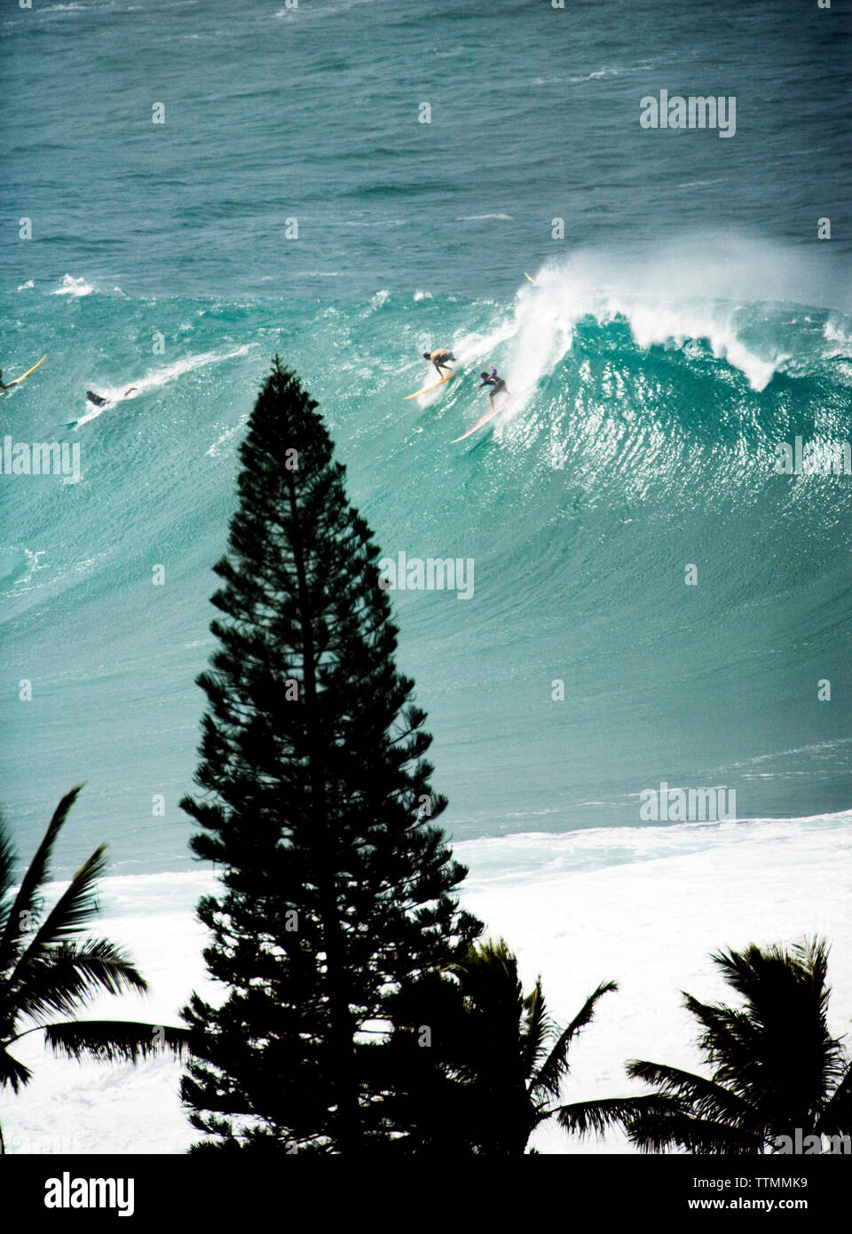 USA, Hawaii, les surfeurs une vague d'arbres en premier plan, Waimea Bay Banque D'Images