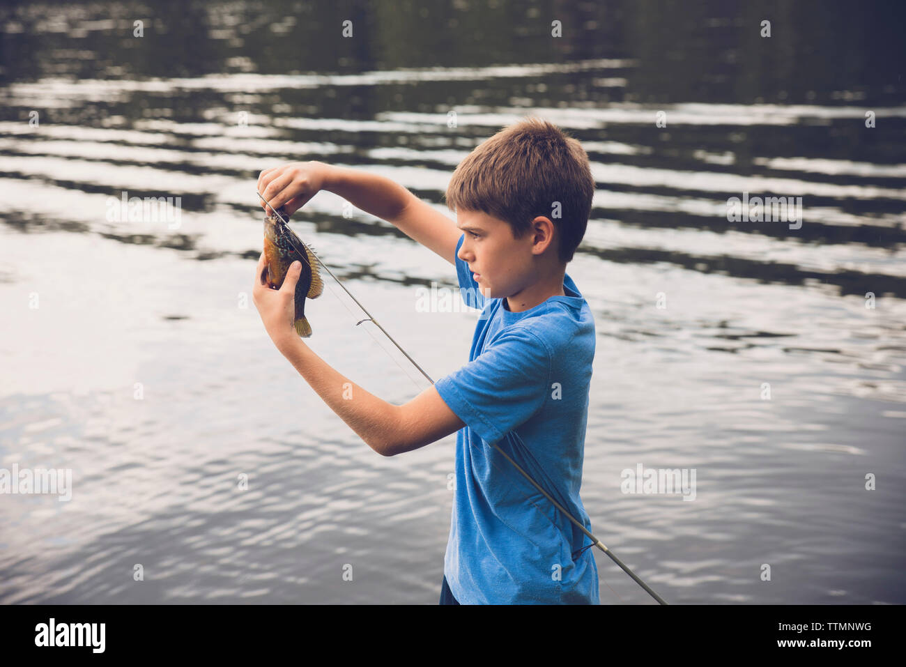 Vue latérale du garçon l'enlèvement du poisson à partir de la canne à pêche au lac Banque D'Images