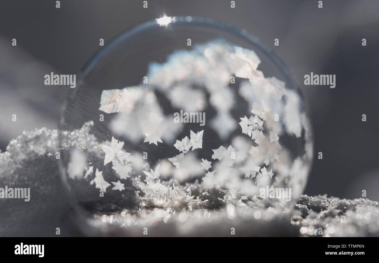 Close-up of snow globe avec des flocons Banque D'Images