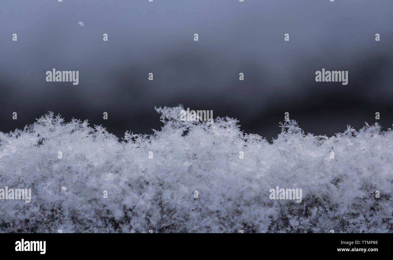 Close-up de flocons sur terrain Banque D'Images