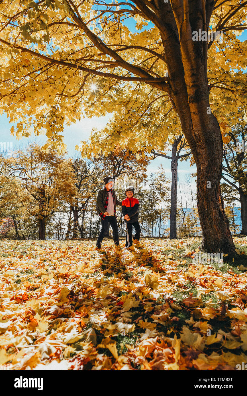 Deux garçons jouant dans des arbres feuillus à l'automne dans un parc. Banque D'Images