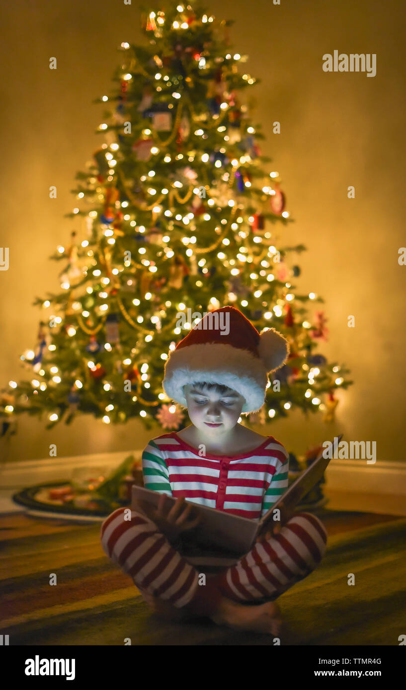 Boy reading book in front of Christmas Tree with face éclairée. Banque D'Images