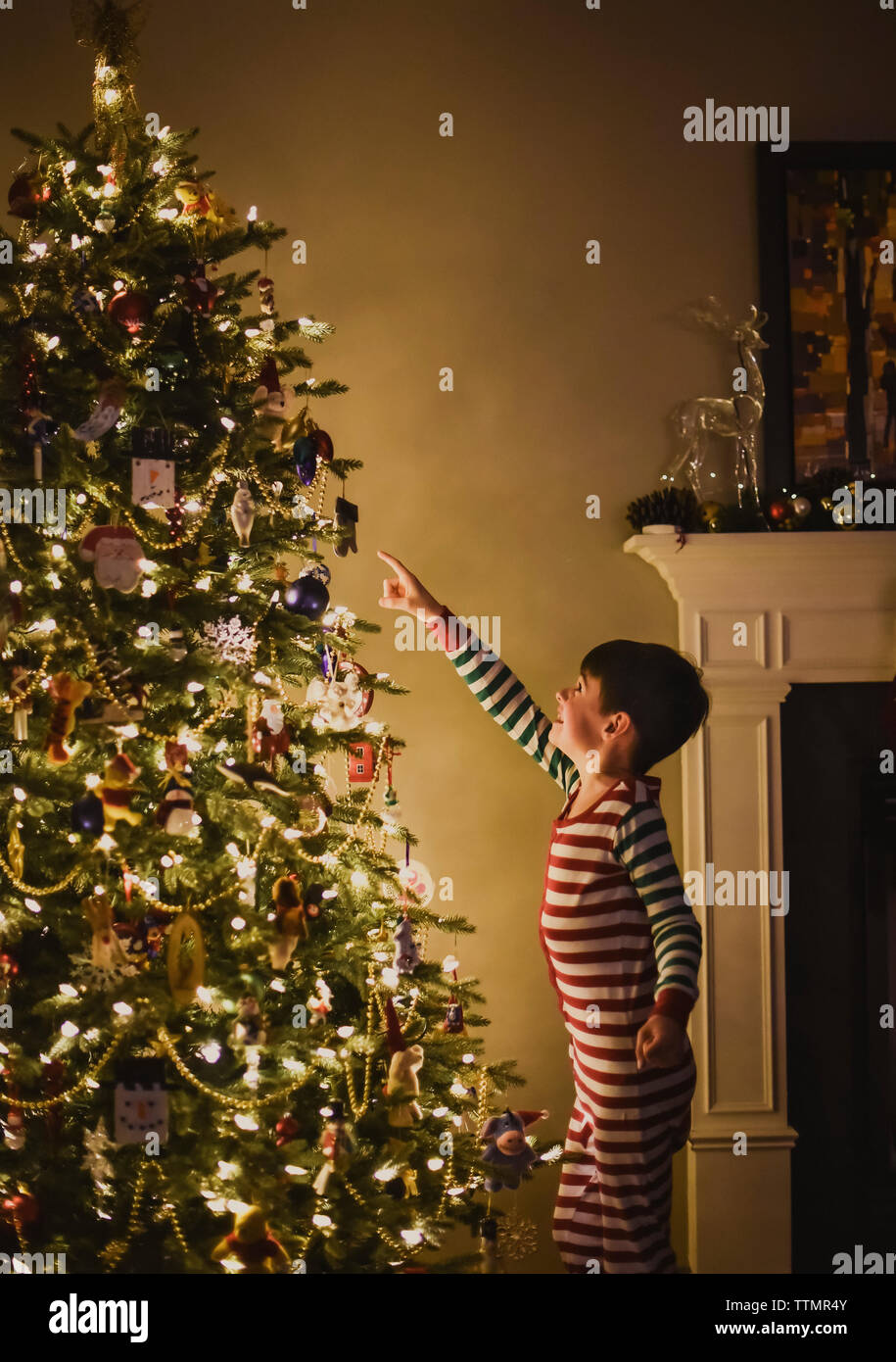 Boy pointing at décoration sur le sapin de Noël tout illuminé la nuit. Banque D'Images