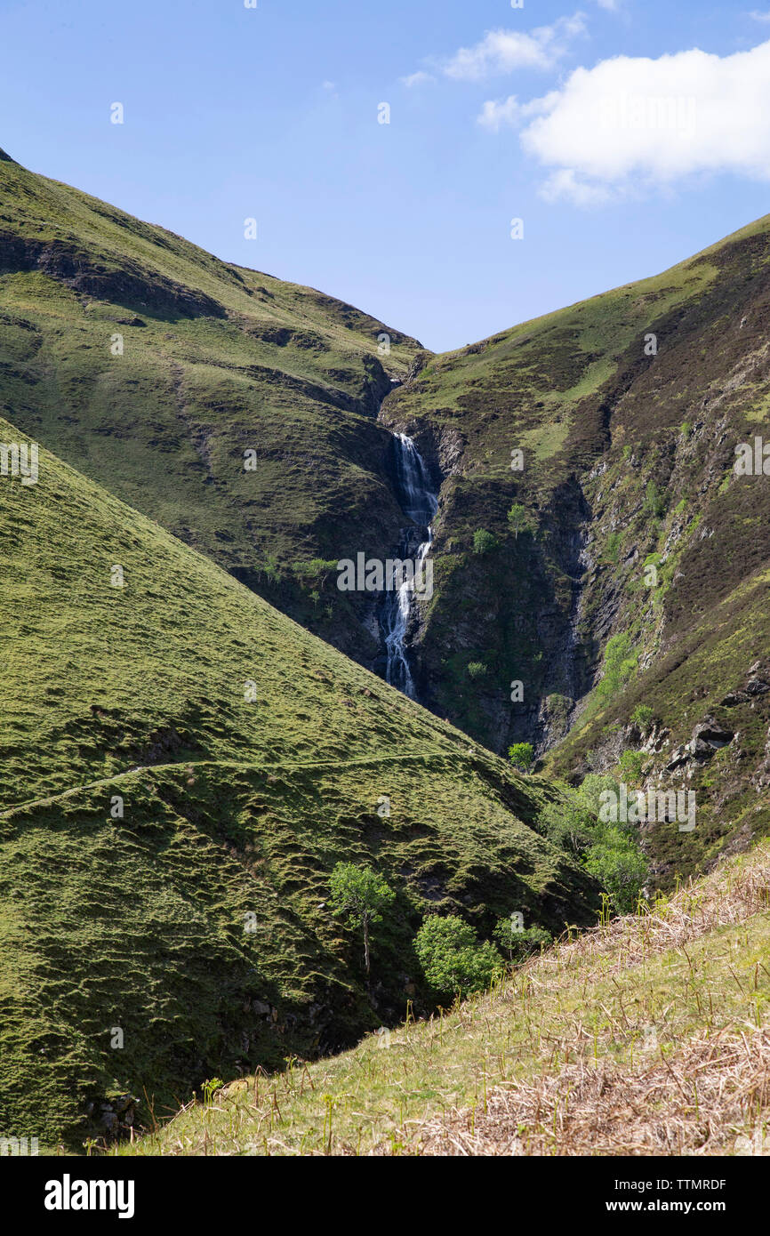 La queue de la jument grise dans la cascade Moffat Hills Banque D'Images