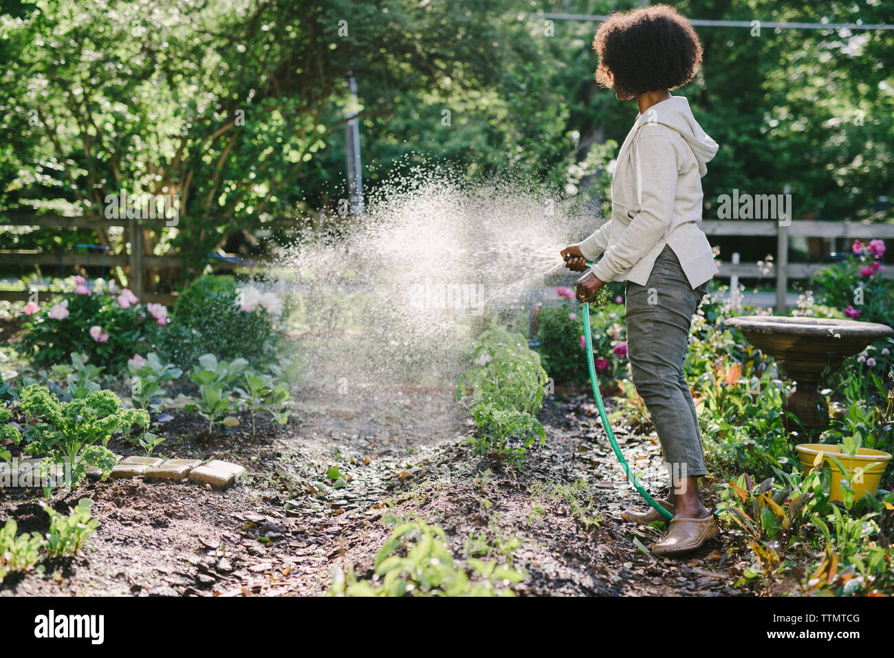 Vue de côté mature woman watering plants in yard Banque D'Images