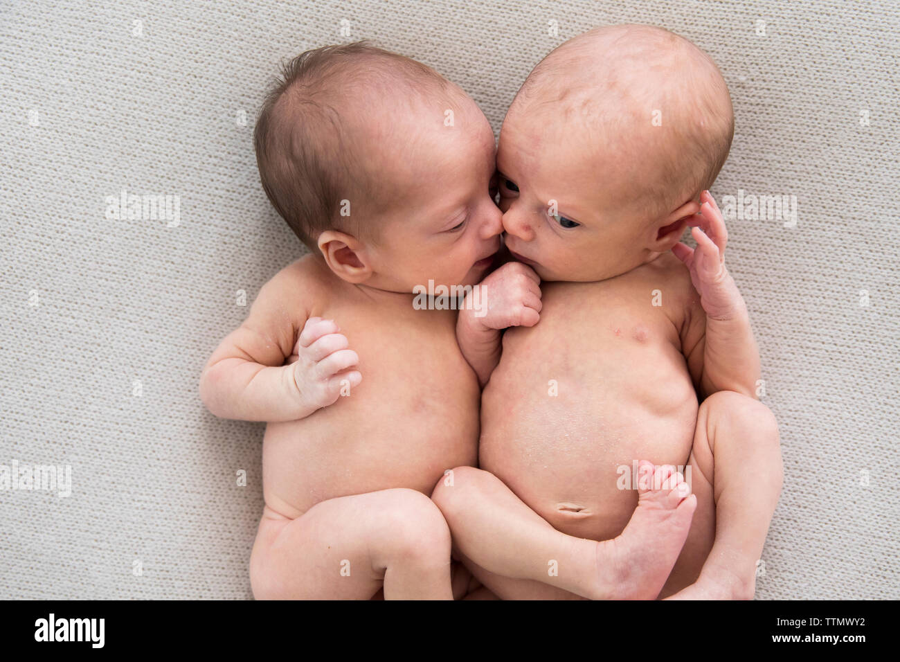 Jumelle Banque D Image Et Photos Alamy
