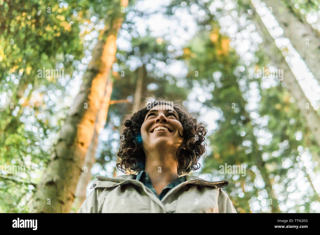 Low angle view of happy woman looking away while standing in forest Banque D'Images