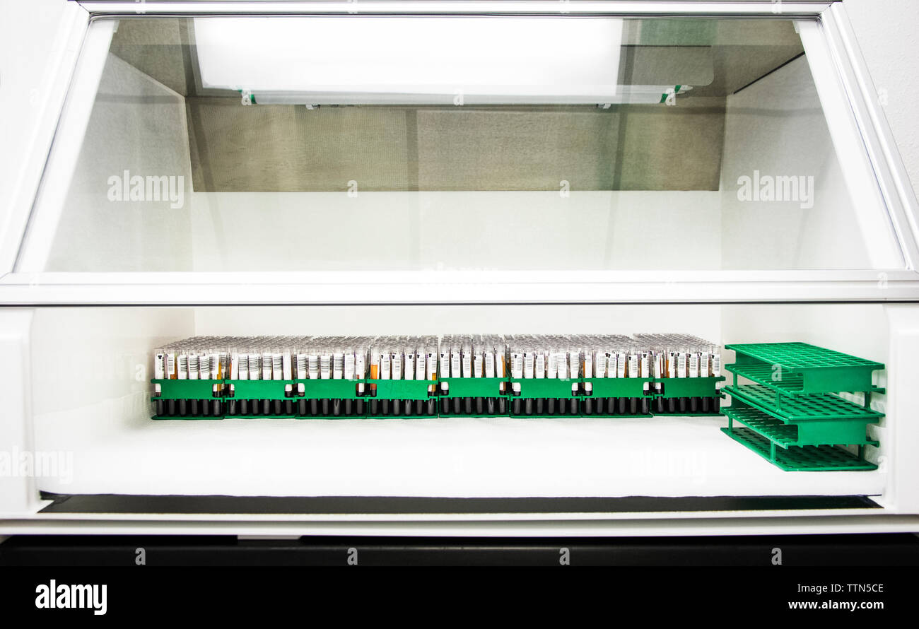 Tubes à essai dans des casiers au laboratoire Banque D'Images