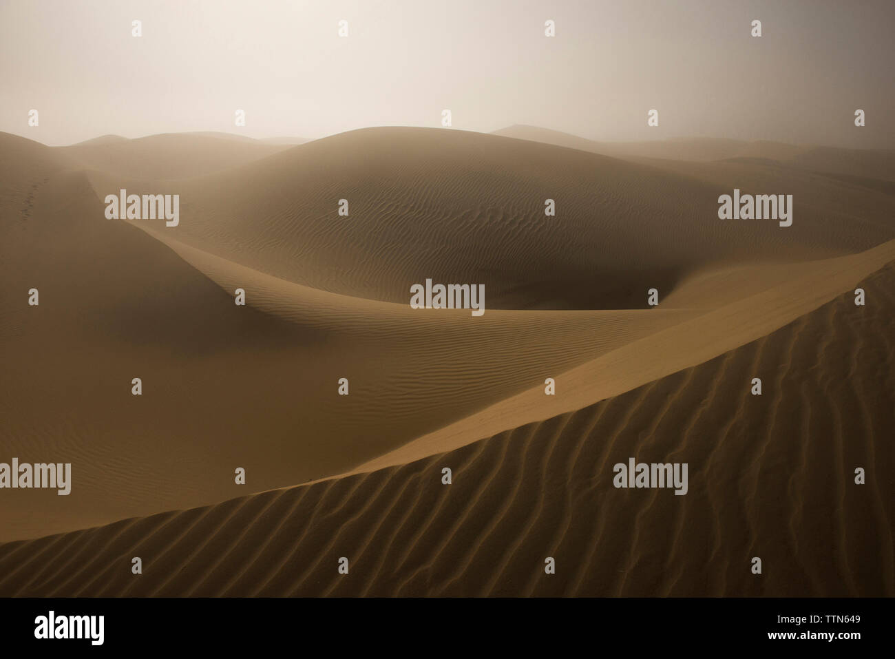 Vue panoramique des dunes de sable contre ciel à Pismo Beach Banque D'Images