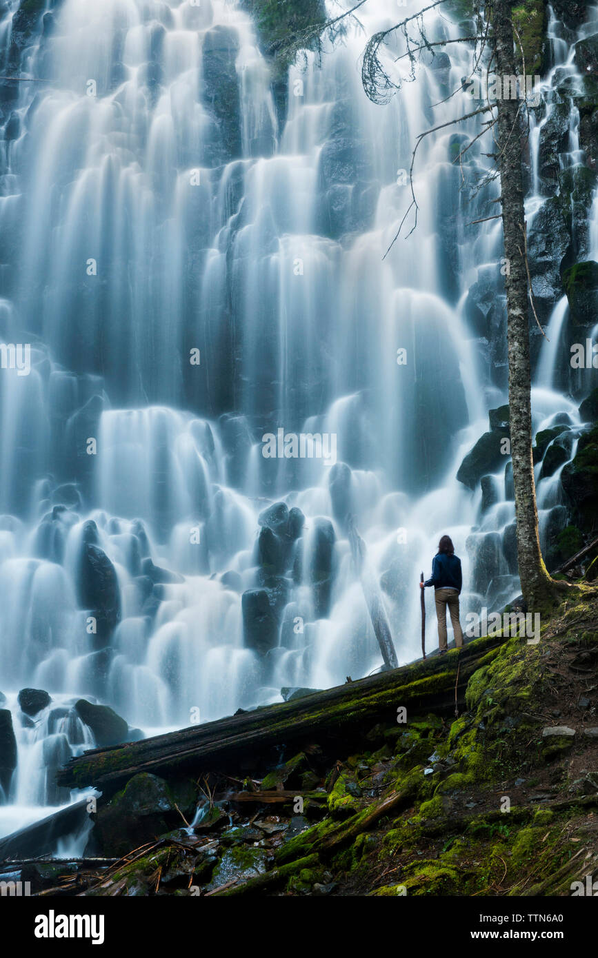 Low angle view of man standing on log pendant la recherche de forêt en cascade Banque D'Images
