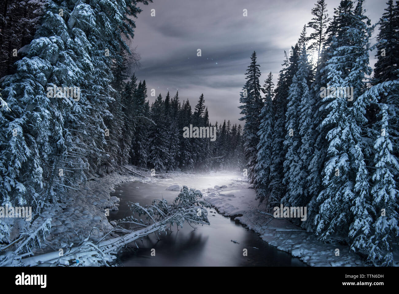 Vue panoramique de la rivière gelée au milieu d'arbres couverts de neige Banque D'Images