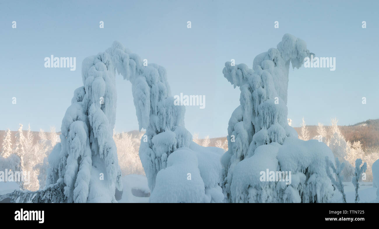 Vue panoramique des arbres couverts de neige contre ciel clair Banque D'Images