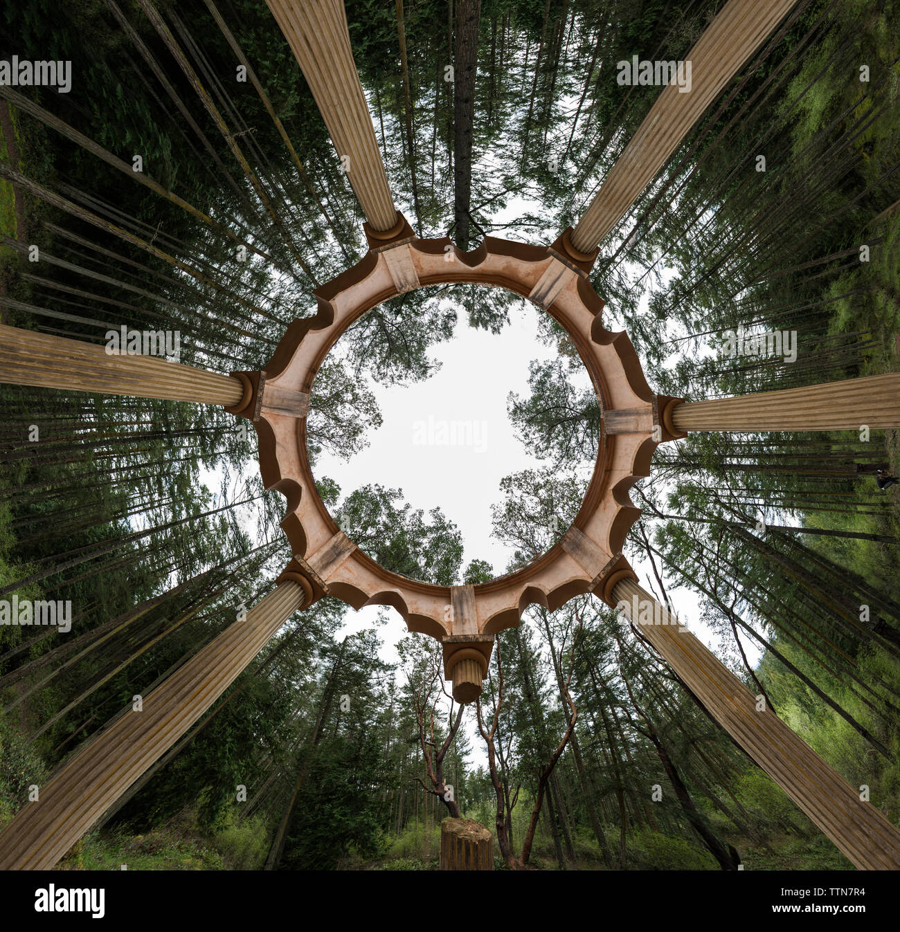 Low angle view of gazebo d'arbres contre le ciel en forêt Banque D'Images