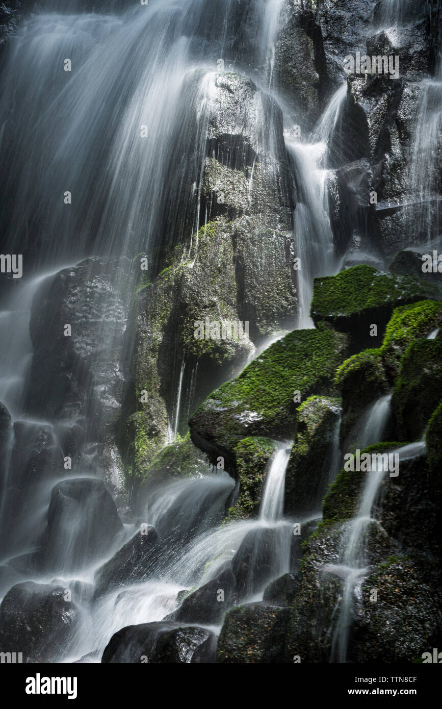 Low angle view of Ramona Falls à Mount Hood National Forest Banque D'Images
