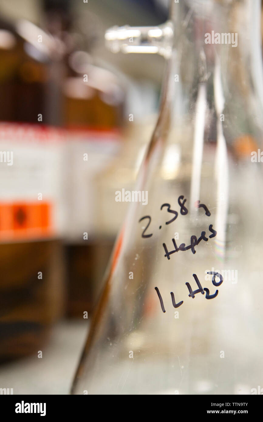 Close-up du bécher Banque D'Images