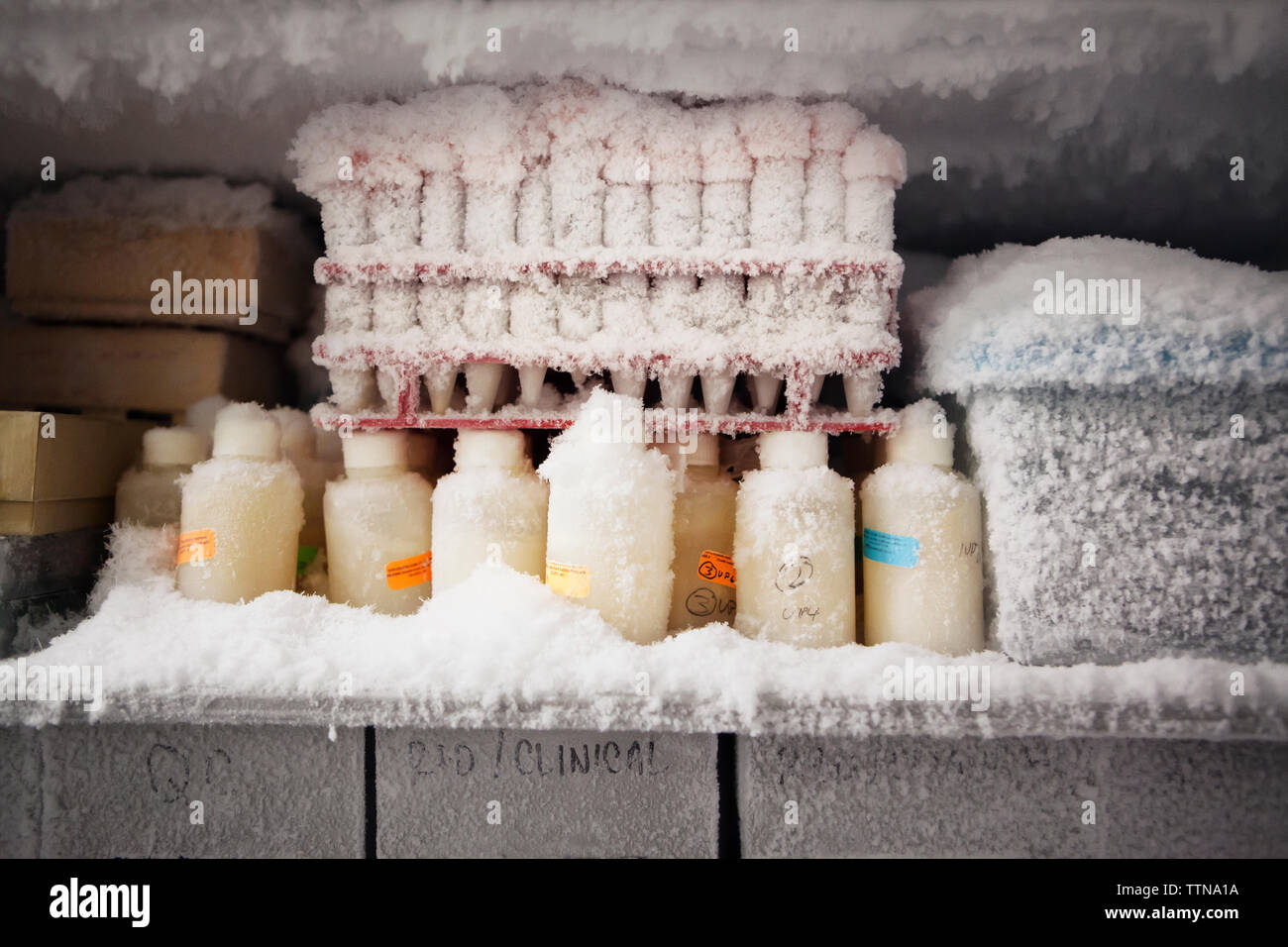 Tubes à essai dans un réfrigérateur Banque D'Images