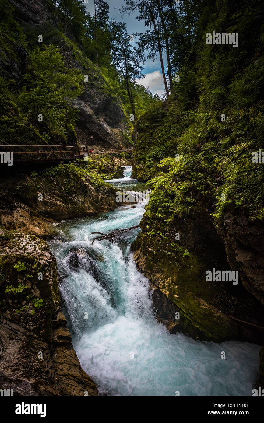 Les Gorges de Vintgar, Parc National de Triglav, Slovénie, Gorenjska Banque D'Images