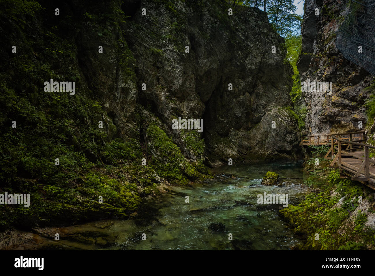 Les Gorges de Vintgar, Parc National de Triglav, Slovénie, Gorenjska Banque D'Images