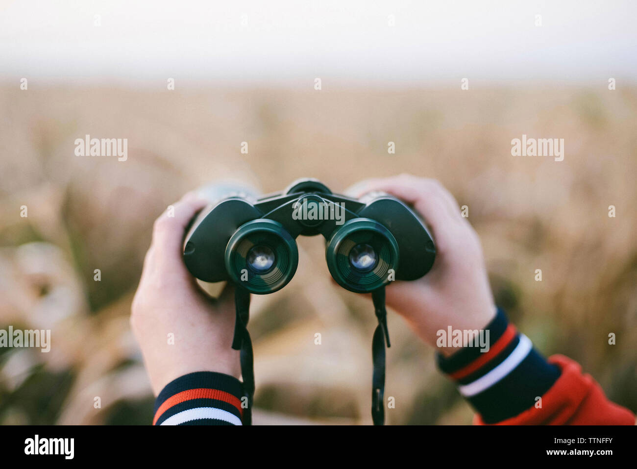 Les mains coupées de woman holding binoculars at farm Banque D'Images