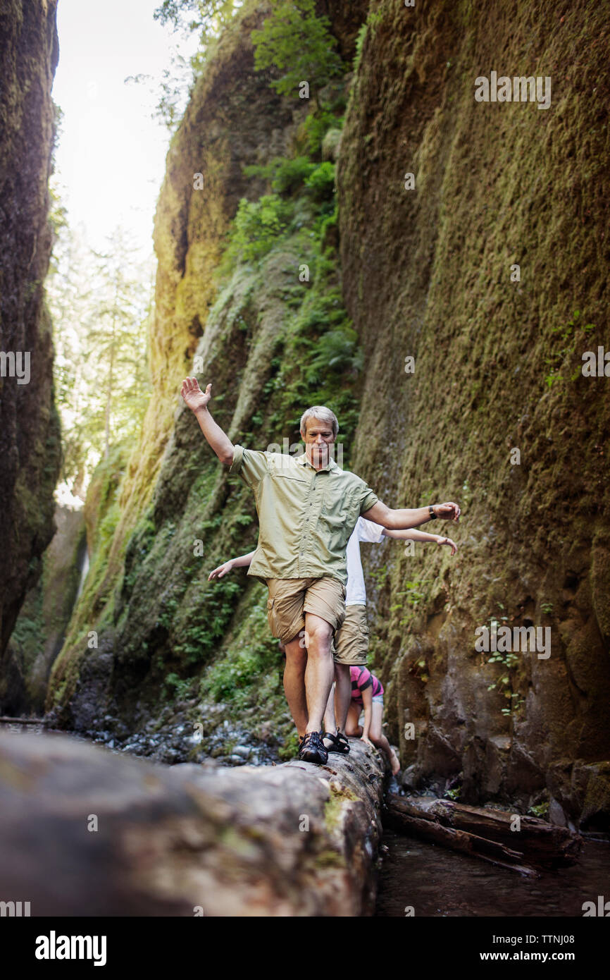 Famille avec bras tendus marche sur log in forest Banque D'Images