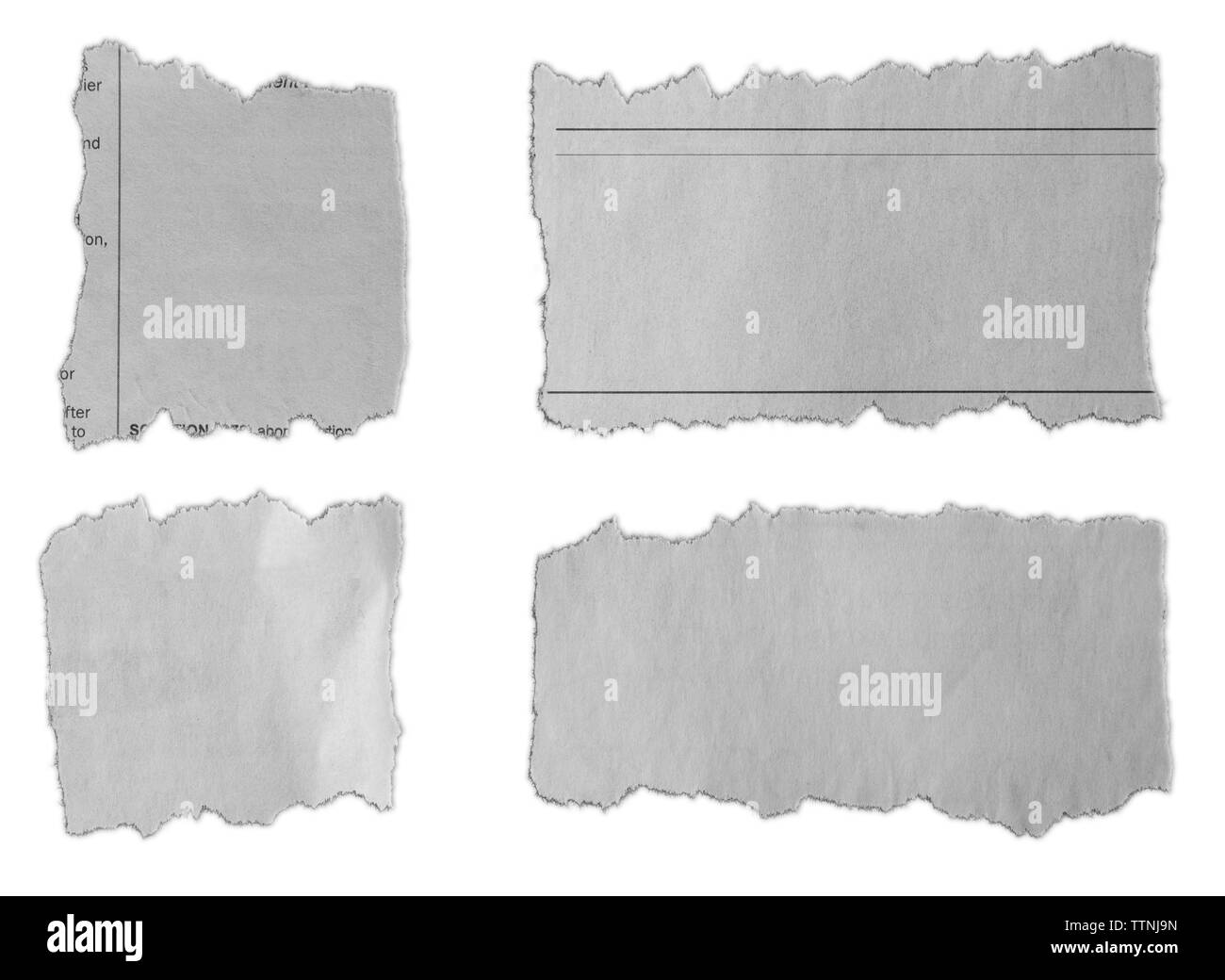 Morceaux de papier déchiré sur fond uni Banque D'Images