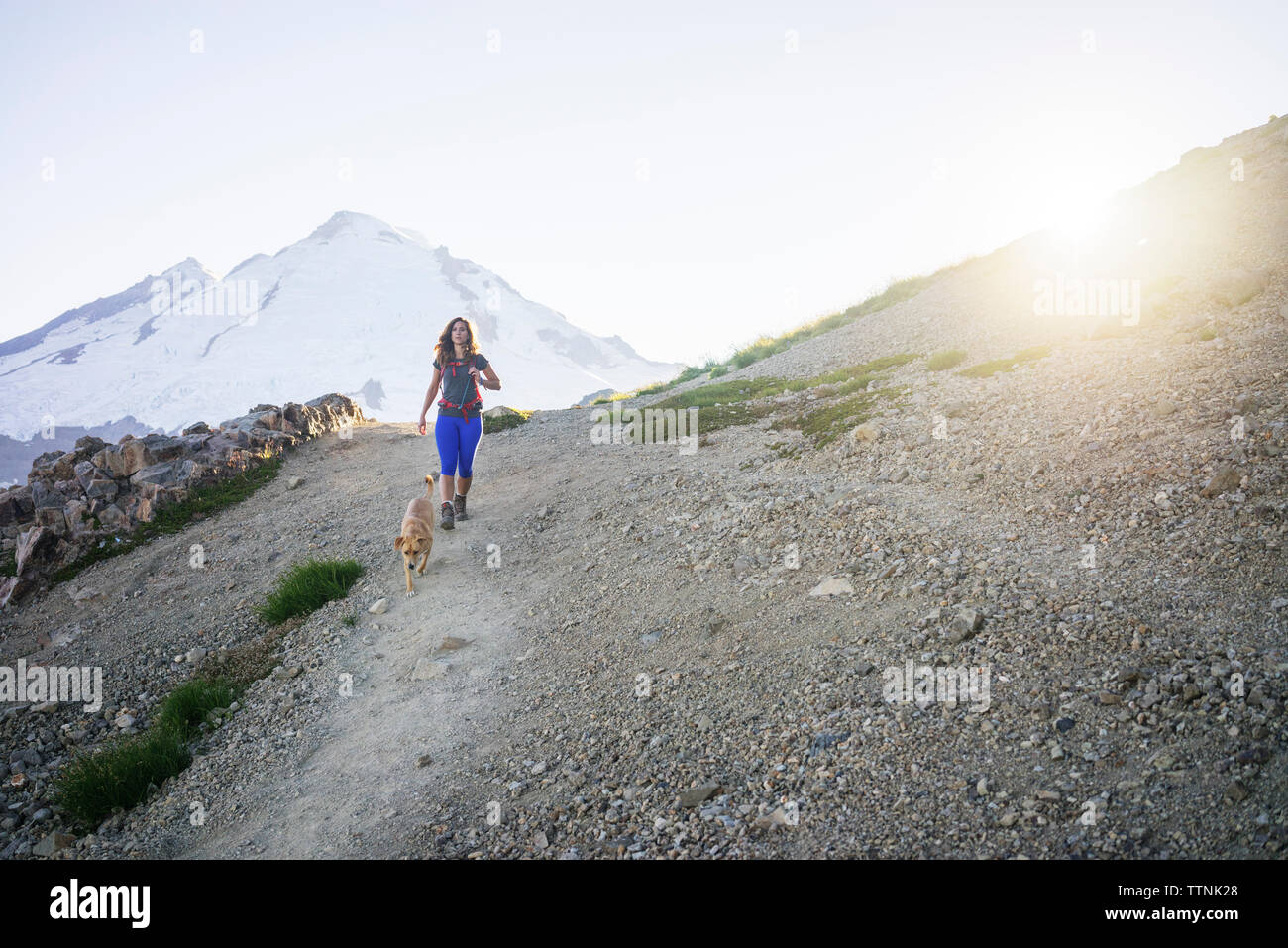 Female hiker with dog walking on mountain contre ciel clair au cours de journée ensoleillée Banque D'Images
