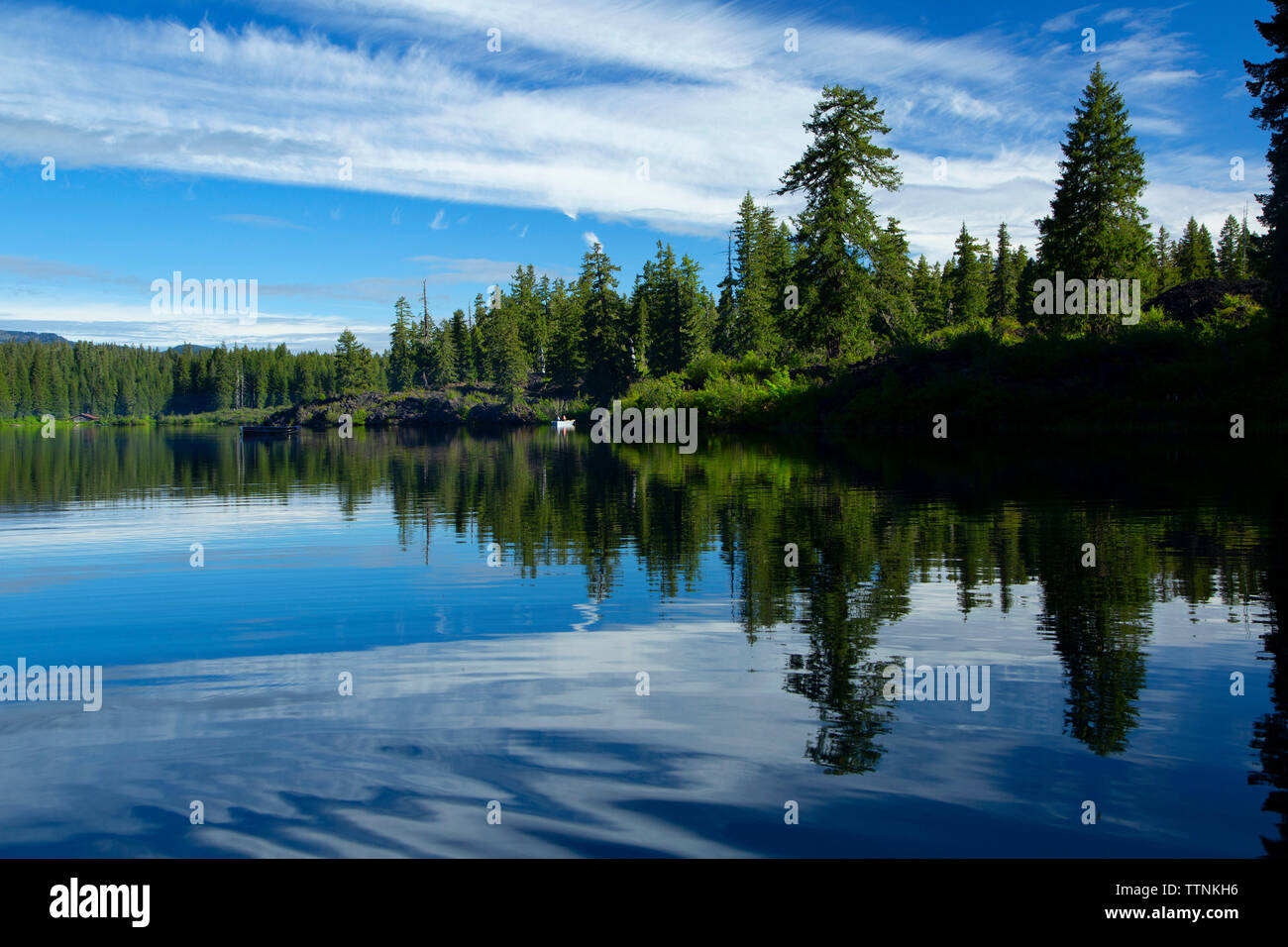 Clear Lake McKenzie, Col Pass-Santiam National Scenic Byway, forêt nationale de Willamette, Oregon Banque D'Images