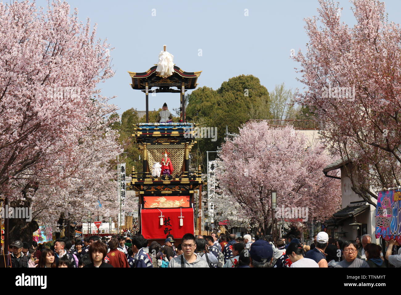 Trois niveaux à flotteur du Printemps d'Inuyama au Japon avec cerisiers Banque D'Images